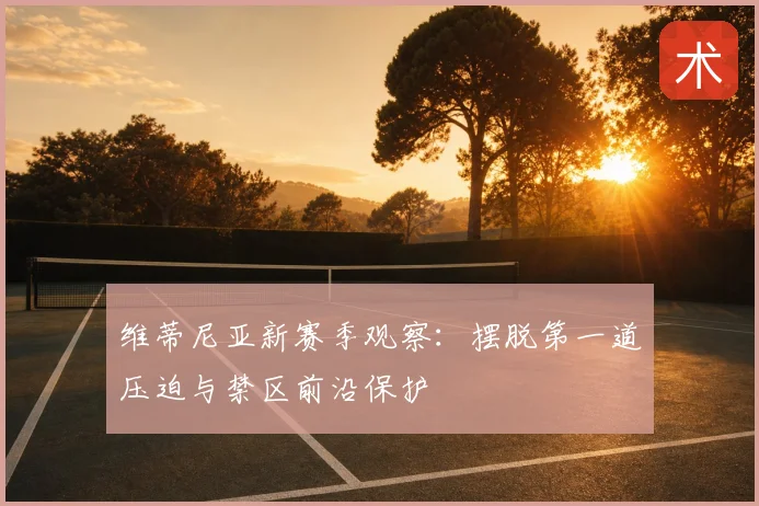 维蒂尼亚新赛季观察:摆脱第一道压迫与禁区前沿保护
